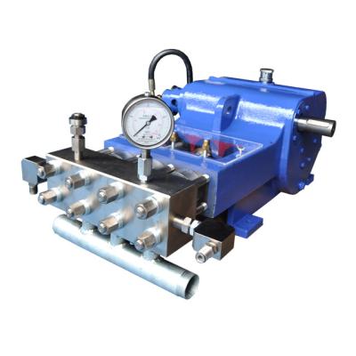 China Plunger Piston Pump High Pressure Water Blaster for sale