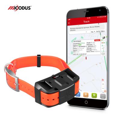 China MiCODUS MP70 Wireless Pet Dog GPS Tracker Waterproof Real Time Animal Tracking Device Voice Monitor Hunting GPS Dog Collar for sale