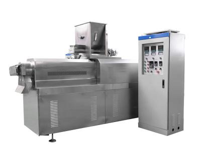 China Food Industry Machinery Double Screw Extruder Breadcrumb Machines Automatic Bread Crumb Making Machine for sale