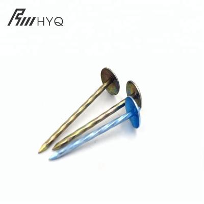 China Iron Tianjin Factory Q195 Galvanized Smooth Umbrella Head / Twist Leg Roofing Nails for sale