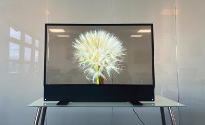 中国 高解像度OLED 透明ディスプレイ OLEDを通して見る 販売のため