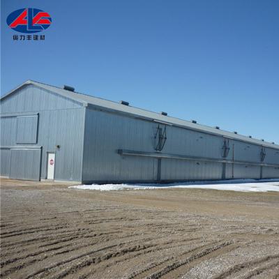 China Poultry House Steel Frame Steel Structure Prefab Chicken Broiler Poultry House Design For Layers In Kenya Farm for sale