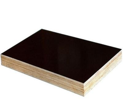 China Contemporary reliable quality 21mm film faced plywood with finger joint core in Poland for sale