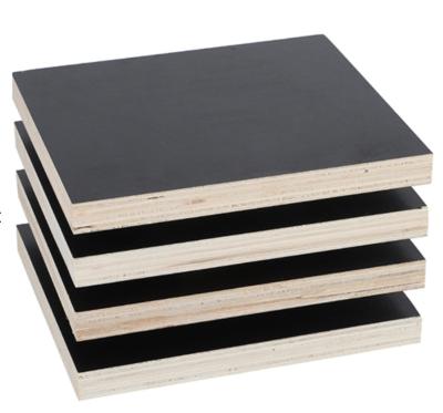 China Contemporary hot-selling products black recycle plywood with finger joint core IN hiamalayas wood in Poland for sale