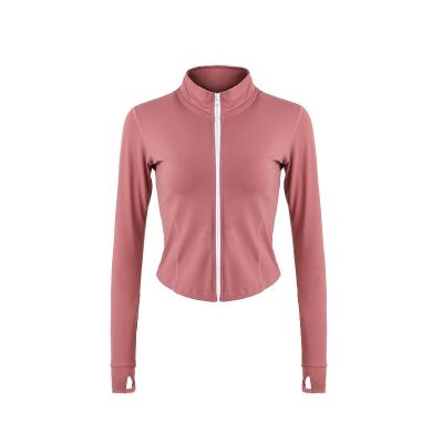 China Women's Loose Crop Padded Fitness Sport Fitness Sport Yoga Top Hot Seller Long Sleeved Yoga Tops Breathable New For Gym Woman for sale