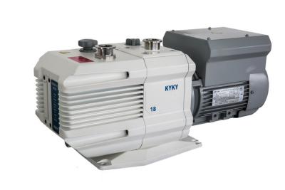 Cina Vane Vacuum Pump rotatoria a due fasi industriale/alto pulsometro DN40KF in vendita