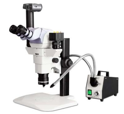 Chine Parallel Optical Path Stereo Microscope iqualitrol iStereo-SZ66 with Magnification 6.8x-45x à vendre