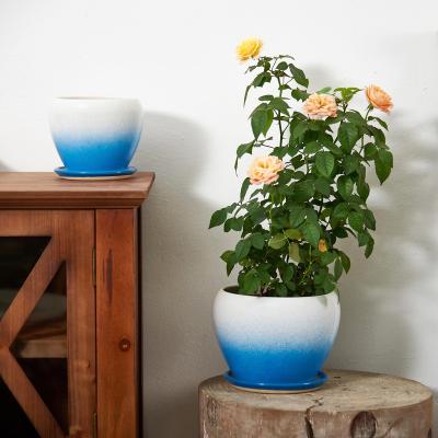 China Minimalist Gradient Color Spray Paint Home Decor Ceramic Planter Pots Blue White Blue Apple Shape Low Flower Pot for sale