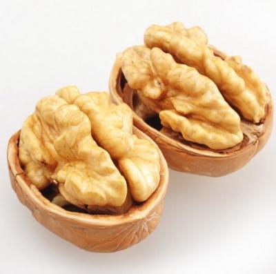 China Snack on These Walnut Snacks with 5% Max Broken Kernel from Packaging Workshops Te koop