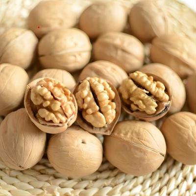 China Delicious Carpathian Walnuts The Ideal Ingredient for Your Content Te koop