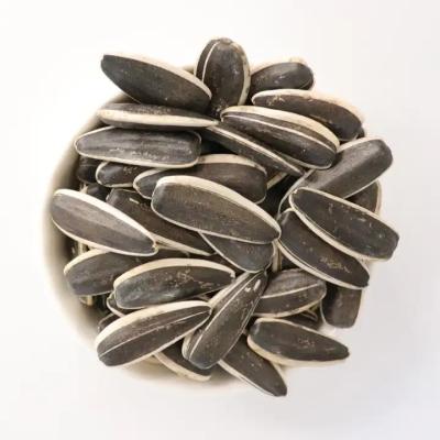 China Sunflower seeds in shell Sunflower Seeds 5009 Dried raw sunflower seed kernels for sale for sale