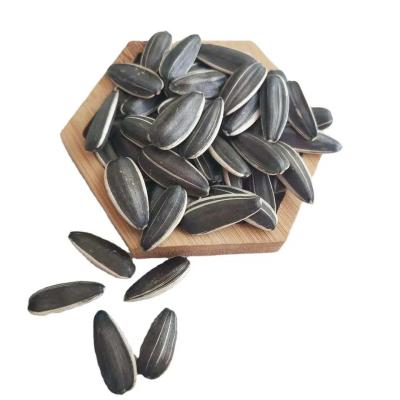 Chine Get Your Daily Dose of Nutrients with Roasted In-Shell Sunflower Seeds 5009 à vendre