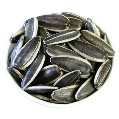 China Bulk Inner Mongolia Raw Material Large Type 363/361 Organic Sunflower Seeds Cheap Price for sale