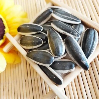 China Sunflower Seeds 5009 The Perfect Match for Your Customer Requirements Te koop