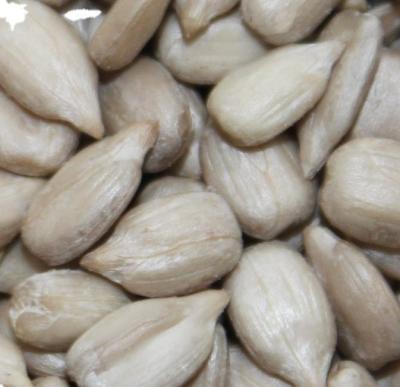 China Sunflower Seeds Kernel within 99.9% min. for Sunflower Kernel for sale