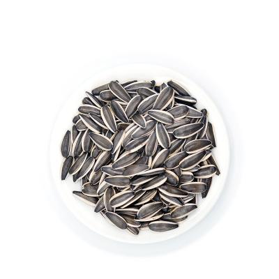 Chine Sunflower Seeds T6 Perfect for Your Business à vendre