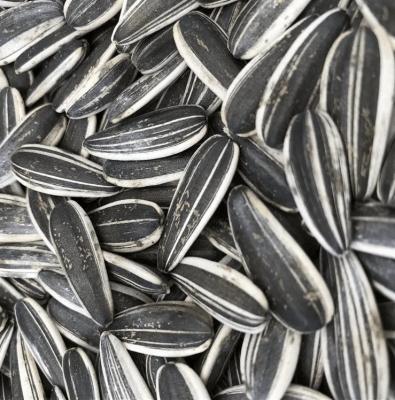 Chine Sunflower Seeds S3 The Perfect Combination for B2B Requirements à vendre