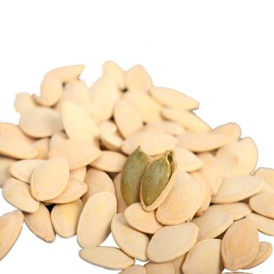 中国 Organic and Tasty Rosated Pumpkin Seeds for Your Customers 販売のため