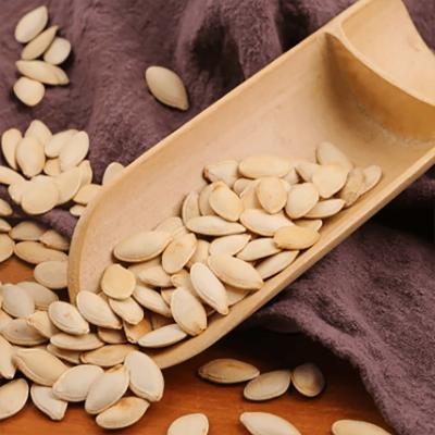 Cina Inner Mongolia's Finest Grilled Polished Rind Pumpkin Seeds Newest Crop in vendita