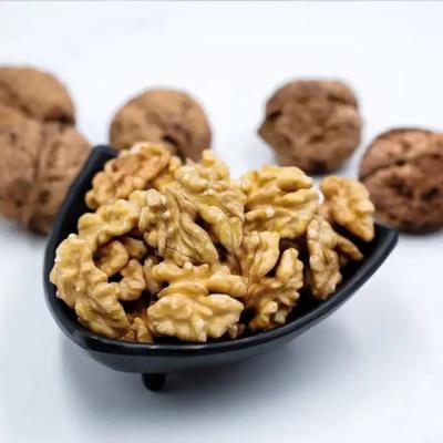 China Walnut wholesale kernel walnut Factory price Food supplements walnuts peptide for sale