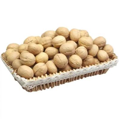 China China walnuts Factory Supplier Wholesale Healthy inshell Organic walnuts Food with Walnuts kenrel for sale