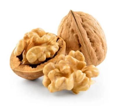 China Hot selling premium walnuts and walnut kernels both support customized packaging Amazon’s best-selling products for sale