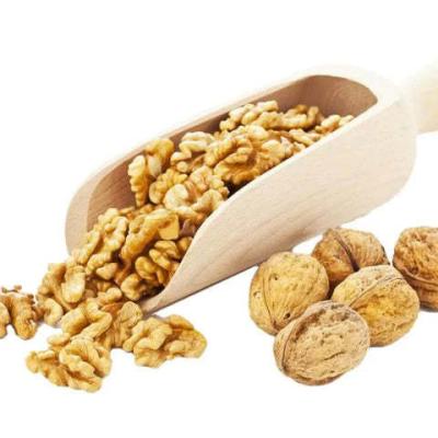 China Professional dried fruit and nuts factory wholesale sale fresh and dried walnuts from China for sale