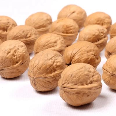 中国 2% Max Broken Content Walnut Nut for Products 販売のため