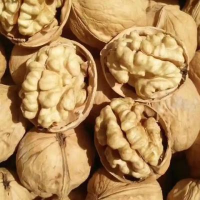 Chine Hulled Walnut Newest Crop for Performance à vendre