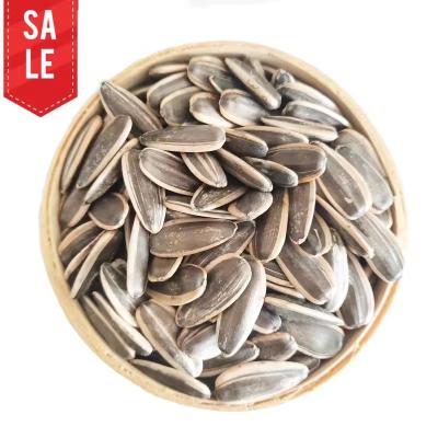 China High Grade 2024 New Crop Inner Mongolia Premium Quality Organic Bulk Large Sunflower Seeds for Sale en venta