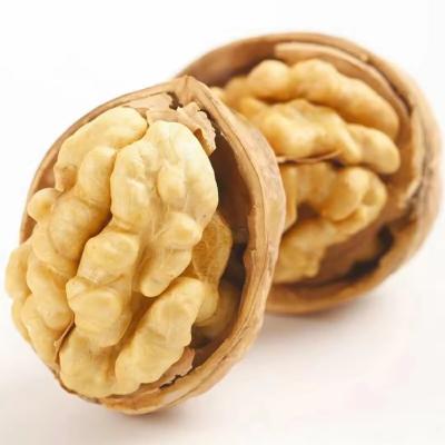 China Factory 1kg Walnuts Price Walnut Halves Wholesale China Top Thin Raw Amber 25kg/bag Packaging Raw Dried Walnut Kernel Dried Nuts for sale