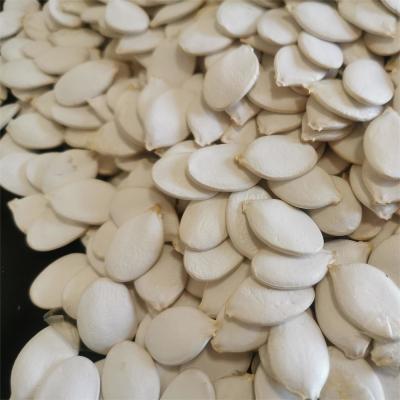 Cina Roasted Snow White Pumpkin Seed A Delicious and Healthy Snack Option in vendita