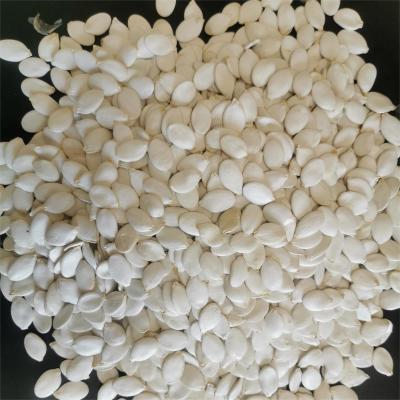 Chine Discover the Deliciousness of Fried Snow White Pumpkin Seed à vendre