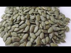 PUMPKIN SEED KERNEL