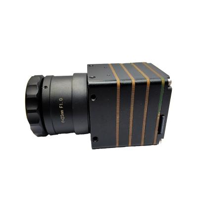 China Night Vision Thermal Imaging 384x288 Camera Thermal Module 17um for sale