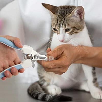 China 2020 Nails Safe Painless Clippers Cat Claw Clippers For Thick Dog Nail OEM ODM Pet Viable Cutter Trimmers for sale