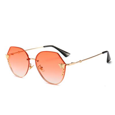 China Trendy Fashion Butterfly Sunglasses Women Eyewear 8912 for sale