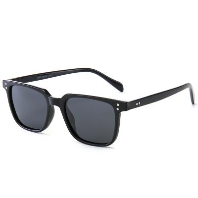 China Fashion Sunglasses New Style Square TAC Sunglasses Polarized Unisex Sunglasses for sale