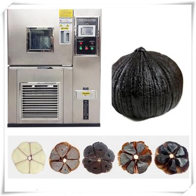 China Black Garlic Manufacturer 304 Stainless Steel Gold Supplier Cool Price for sale