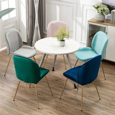 China Wholesale High Quality Hot Selling Furniture MODERN Dining Chairs Dining Chairs Dining Chairs For Dining Room for sale