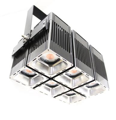 China 600w garden led sport yard light for sale