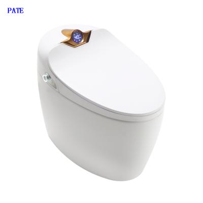 China Automatic Operation PATE Concealed Wc Smart Electric Bathroom Toilet Cistern Cubicle for sale