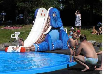 China Karikatur-Wasser-Park-Unterhaltungs-Fiberglas-Wasserrutsche für Kinder/Kinder zu verkaufen