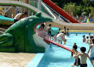 China Funny Cantoon Flog Slide Kids Water Slides for Amusement Park Equipment for sale