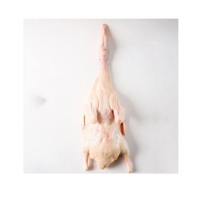 China NATURE Duck Meat White Striped Duck 100% Natural and Safe Fresh for sale