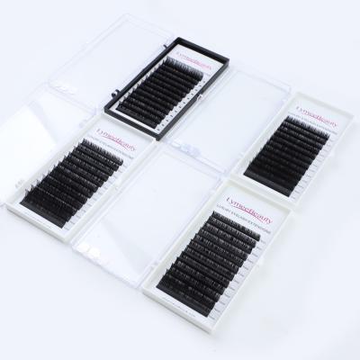 China Different Natural Soft Lash Wick Wholesale Price Korea Classic Silk Eyelash Extension Trays for sale