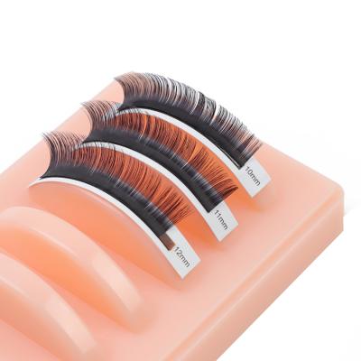 China Synthetic Flat Lash Eyelash Extension Cashmere Lash Extension Premium Pbt Long C D Natural Curl Extension for sale