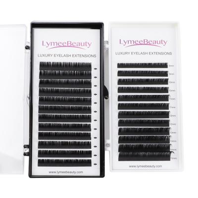 China High Quality Natural Lash Vendor Premium Silk Lashes Eyelash Extension Tray Wholesale Mink pbt OEM Eyelash Extension for sale