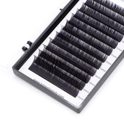 China Best Price Eyelash Extension True Wicks Matte Eyelash Extension Natural Silk Individual Eyelash Extension for sale