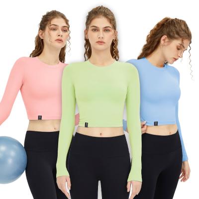 China QUICK DRY Women Seamless Crop Tops Long Zipper Jacket Running Sports Wear Yoga Fitness Gym Workout Tops Shirt for sale